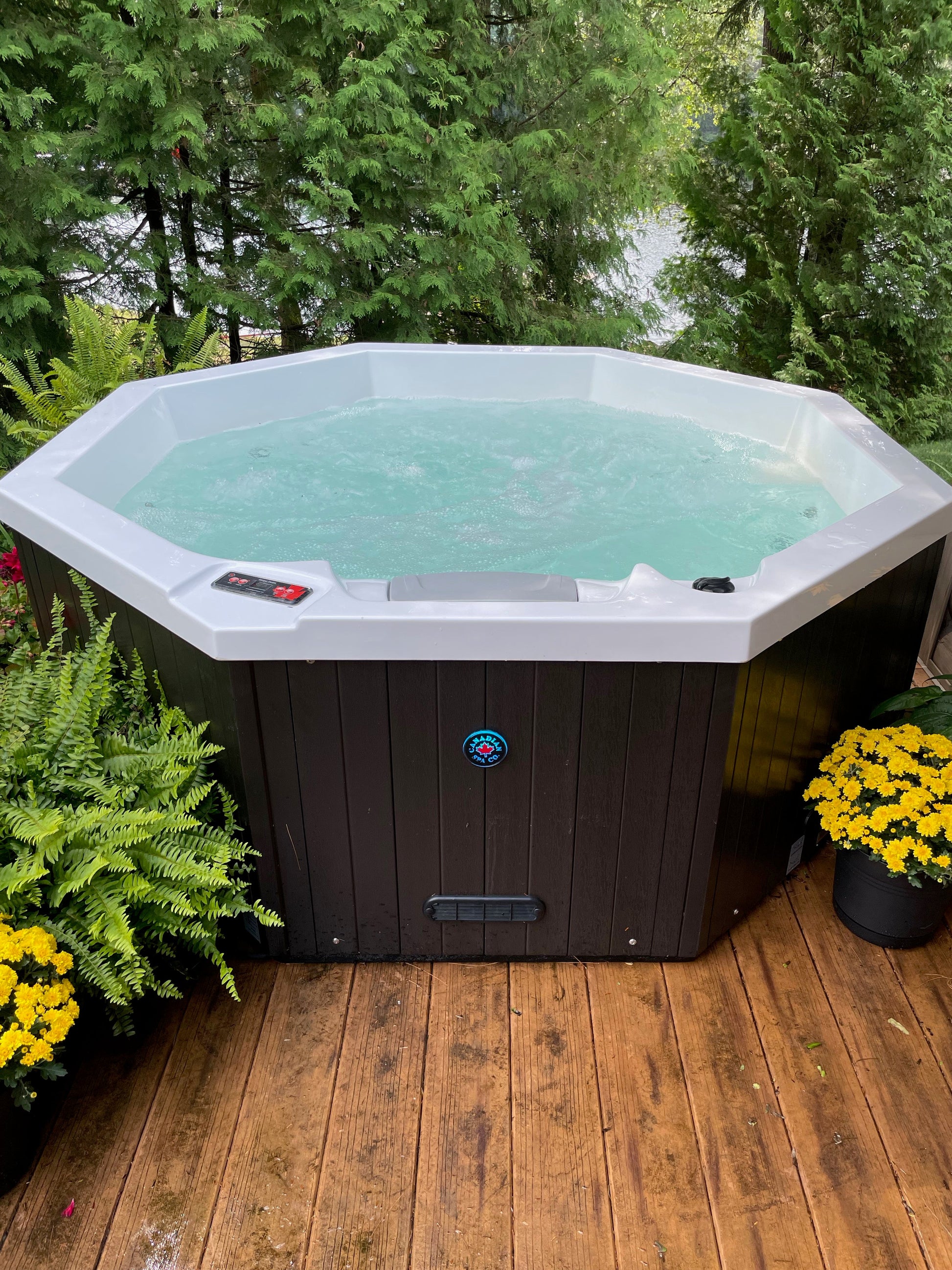 Canadian Spa Company_KH-10095_Muskoka_Octagonal_Plug_&_Play_4-Person_14-Jet Hot Tub_Blackout Insulation_UV Light Water Care_Patio Spas