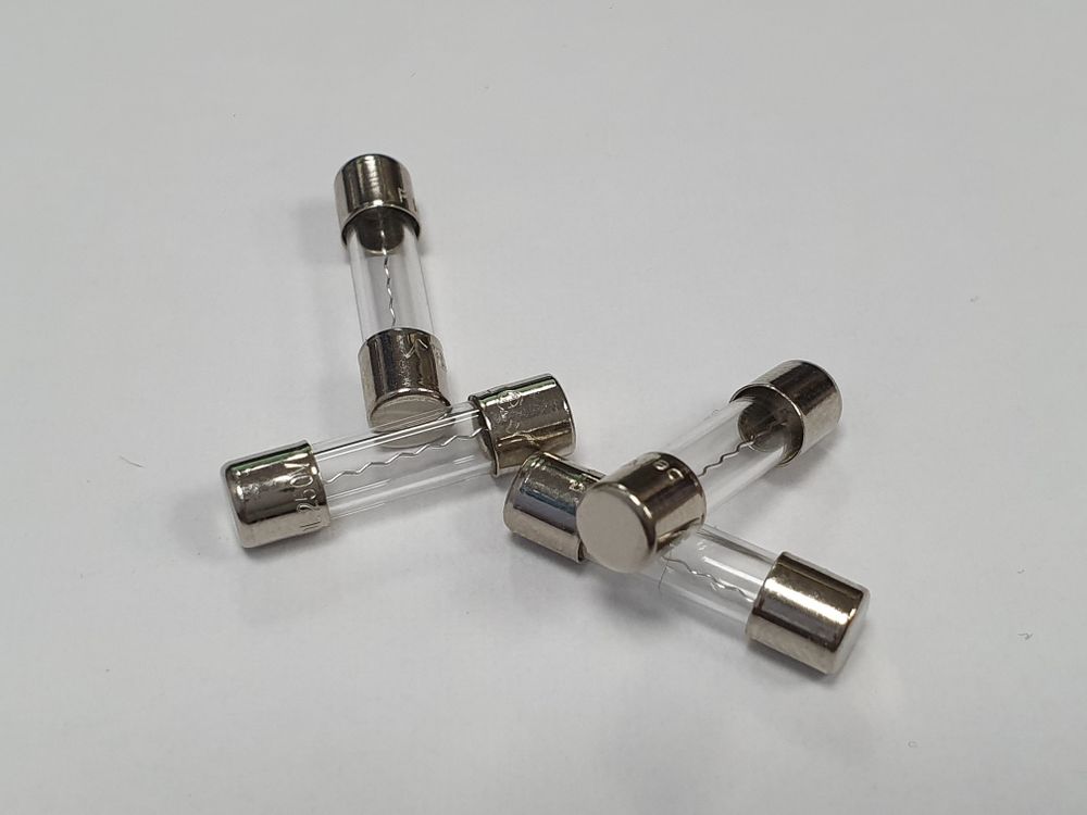 10a Glass fuse (small)